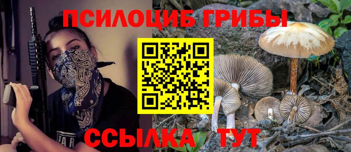 Вятские Поляны  Галлюциногенные грибы прущие грибы  купить наркотики сайты  Вход с VPN 